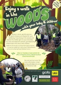 A WALK IN THE WOODS - @ THE RINGWAY CENTRE